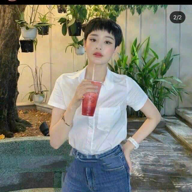 Sơ mi cộc tay SomiGUcoctay