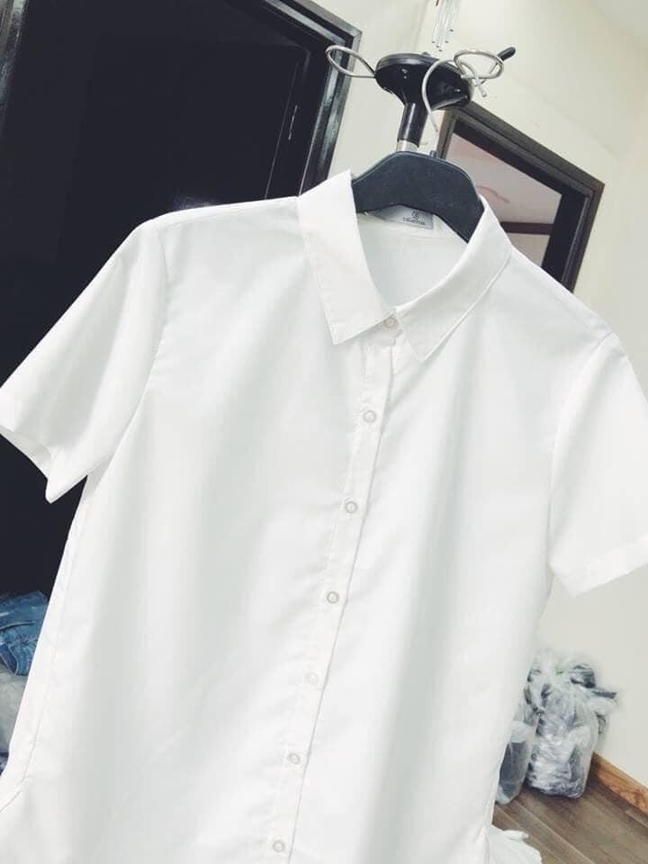 Áo sơ mi cộc tay Somicoctayuni_